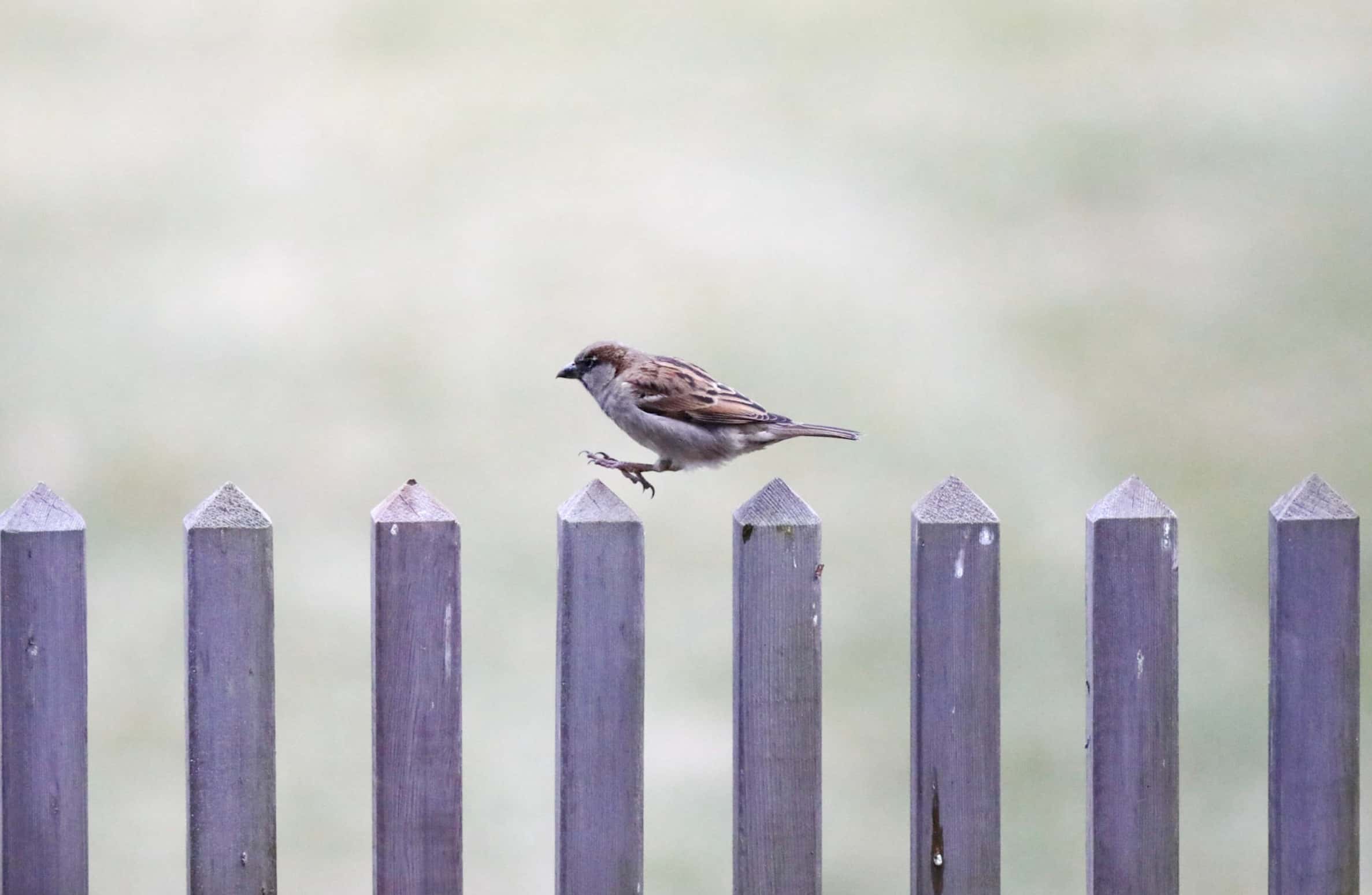 SEO to GEO: Mental Model #9 - Small Wins